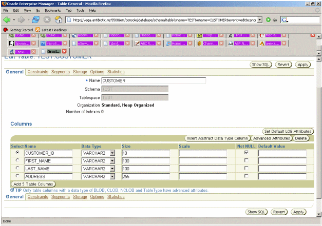 Microsoft CRM Integration: Oracle Database Access from MS CRM
