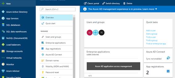 Azure portal after Azure Active Directory has been selected