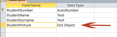 Create BLOB Field in MS Access