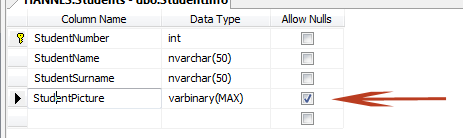 Create BLOB Field in SQL Server