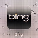 An Overview of Microsoft Bing Bots