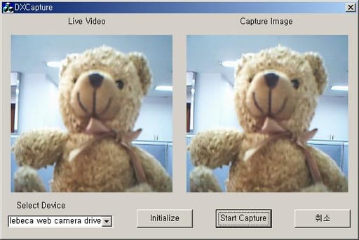 Simultaneous Previewing & Video Capture using DirectShow