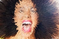 Analyzing Image Content Programmatically: Using the Microsoft Cognitive Vision API