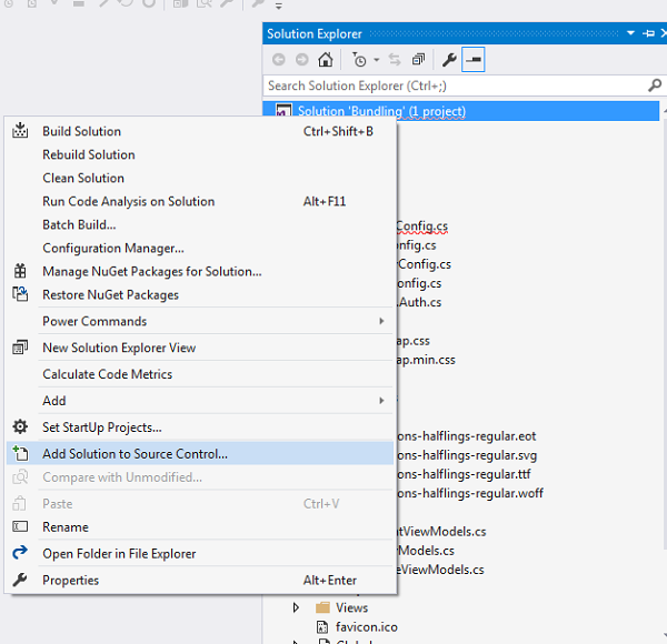 Visual Studio Add Solution to the Source Control