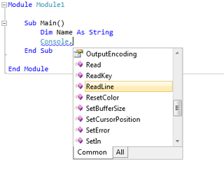 Input and Output with VB.NET 2010