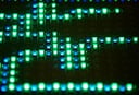 Arduino Programming: Creating an LED Firework Effect
