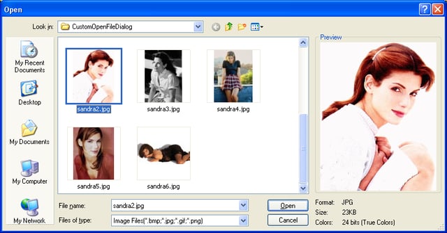 Customizing OpenFileDialog in .NET