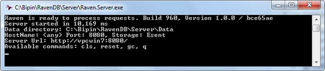 Using RavenDB in ASP.NET Applications