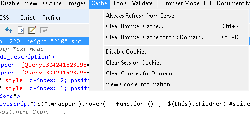 Debugging Browser Cache and Cookies