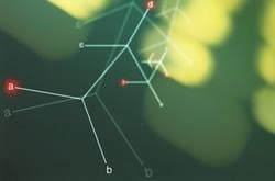 Exploring the Microservices Architecture