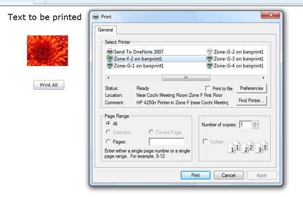 Introduction to the Silverlight Print Option