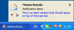 Customizable Alert Window