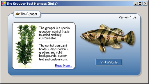 The Grouper: Custom Groupbox Control