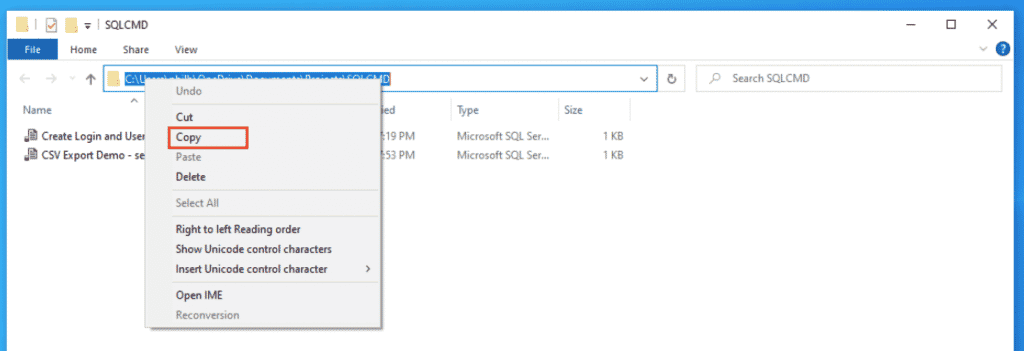 Coy the SQL Filepath