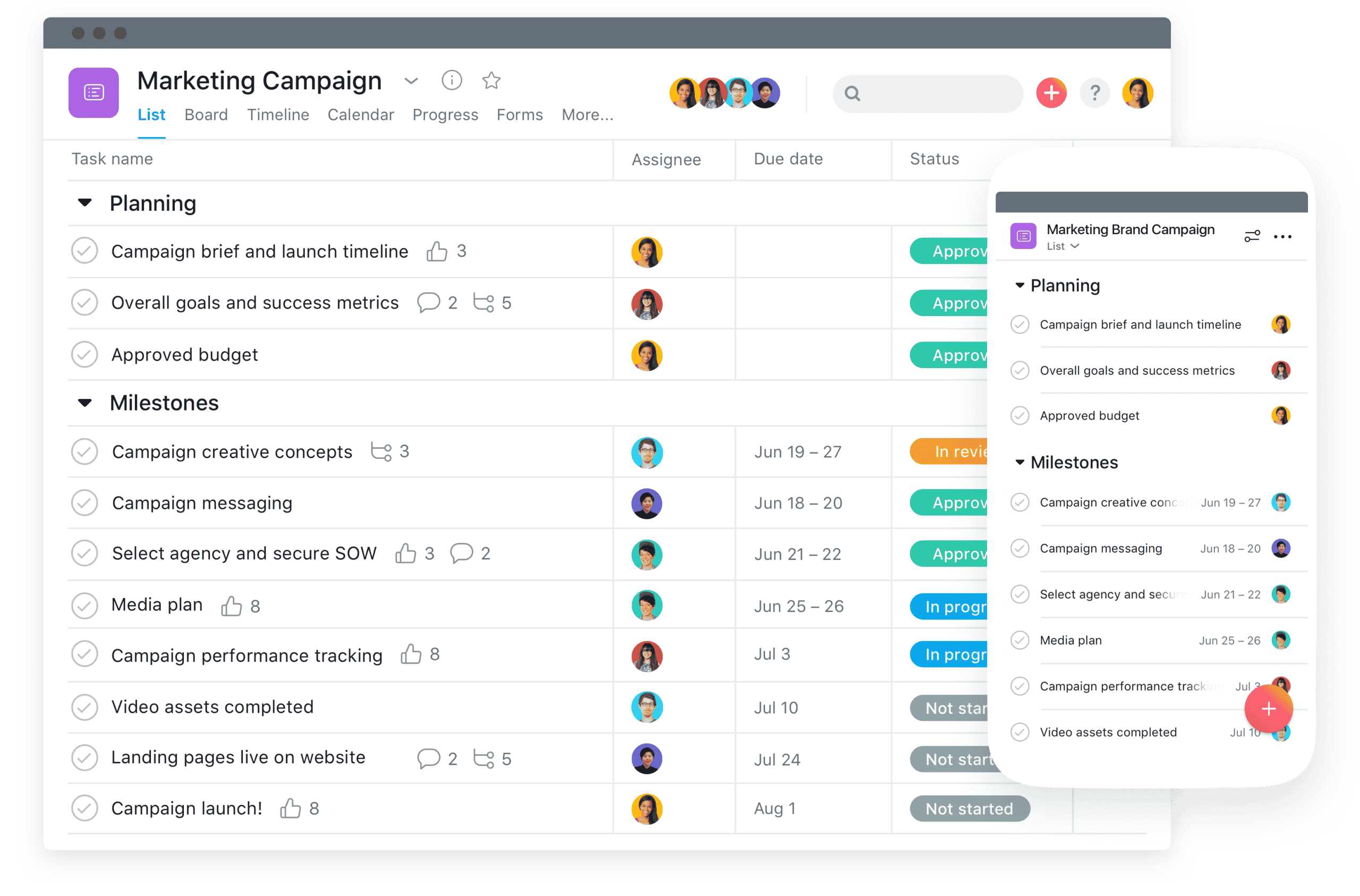 Asana Developer Tool