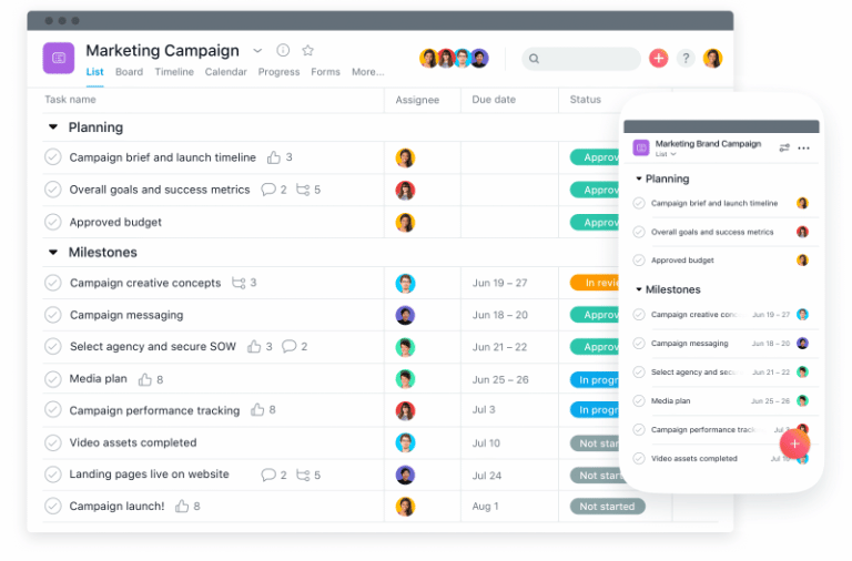 Asana Bug Tracking Tool